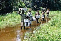Expedition in rain forest, Congo Basin