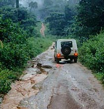 Road in the rainforest, Congo Basin